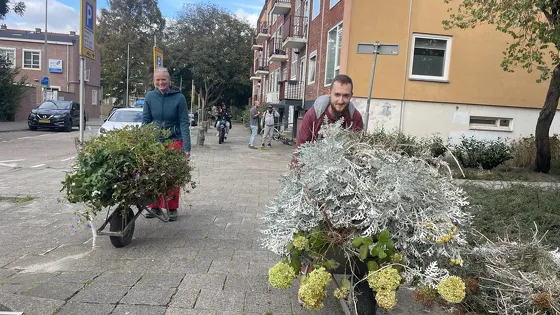 Geveltuinenactie Hekbootstraat & Boeierstraat 🌿