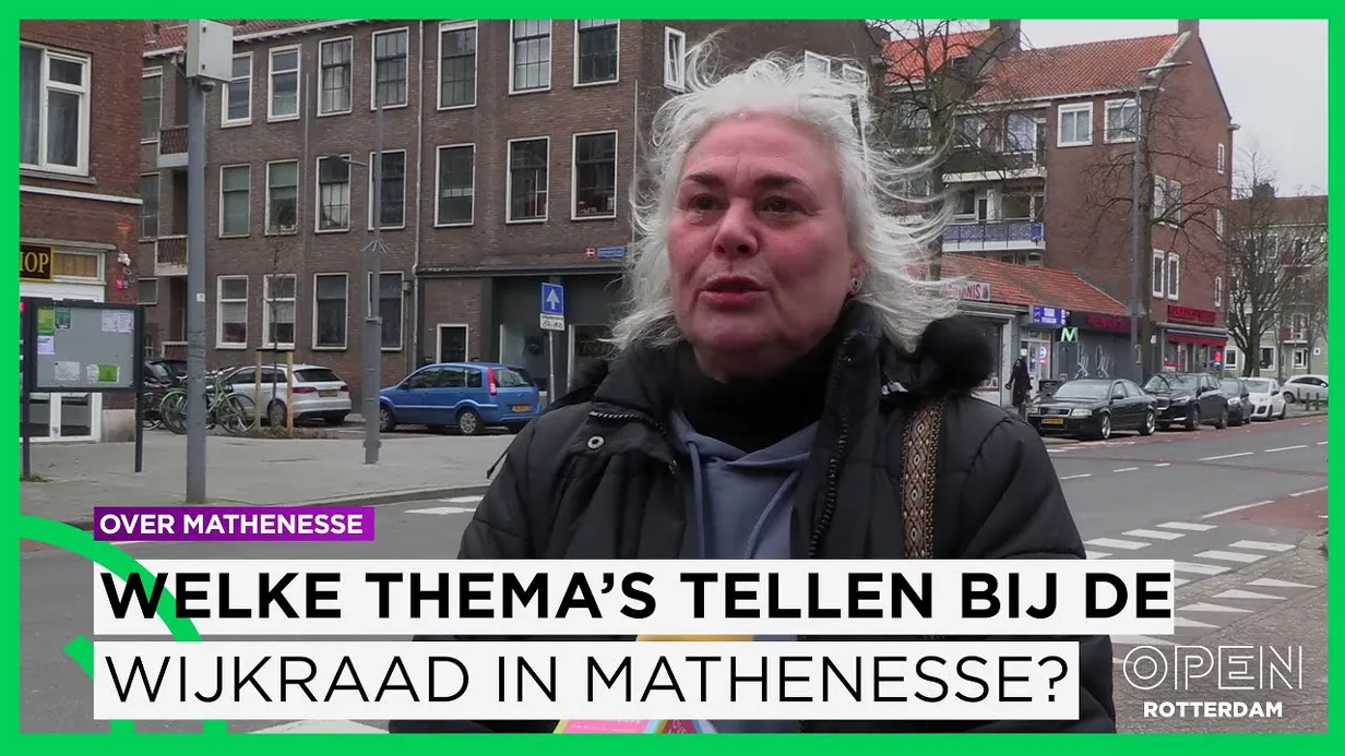 Wat weet Mathenesse van de Wijkraad?