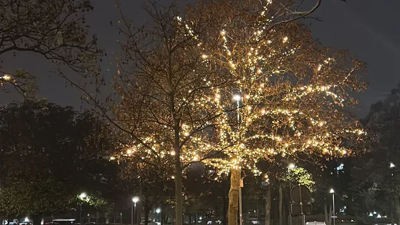 Wie steekt in de Franselaan de sfeerverlichting aan?