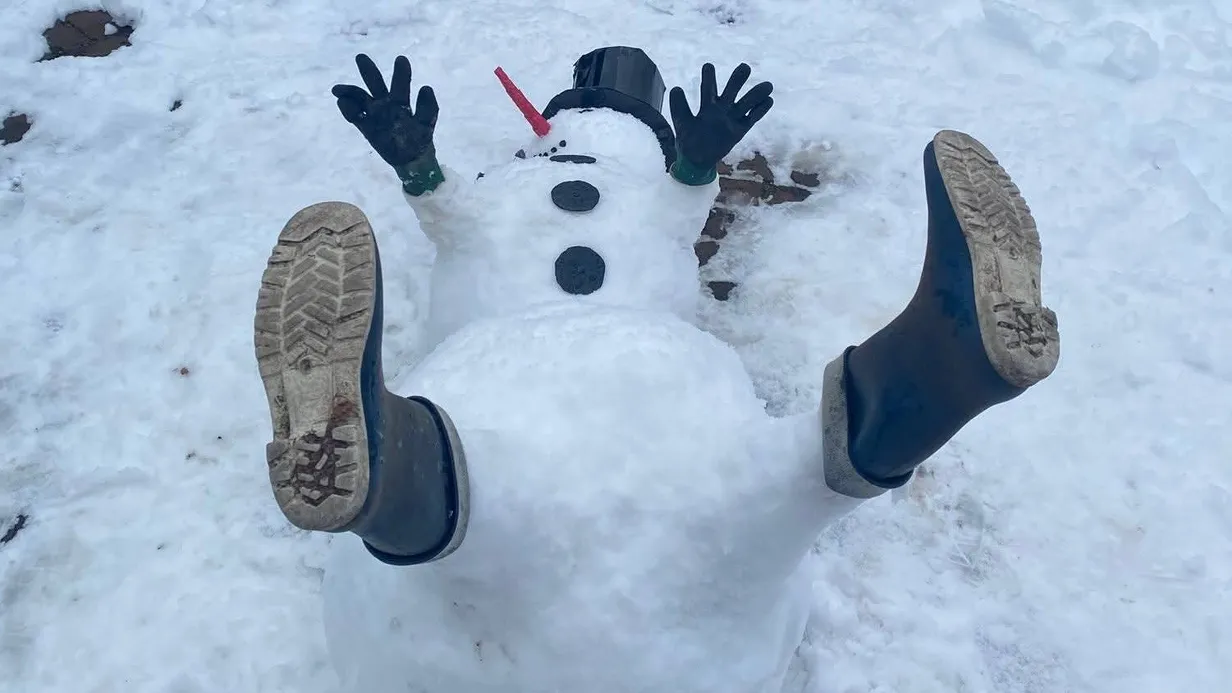 Een sneeuwwit begin van het nieuwe jaar