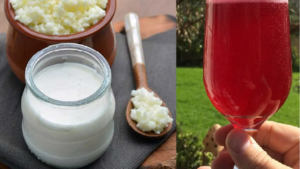 Kefir Workshop – Leer water- en melkkefir maken!