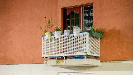 Bewonersverhaal: mijn buurvrouw in de Doggerstraat