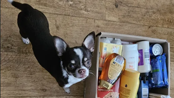 Voedselpakketten voor huisdieren en hun baasjes