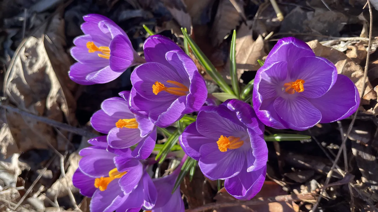 Ontdek de natuur dag