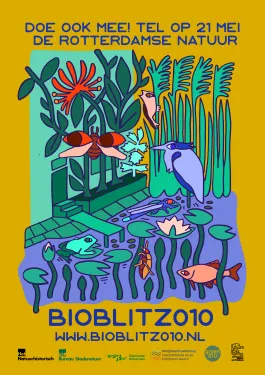 Bioblitz_2025_poster.png
