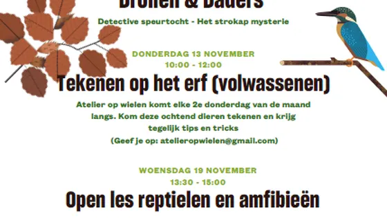 Activiteiten november
