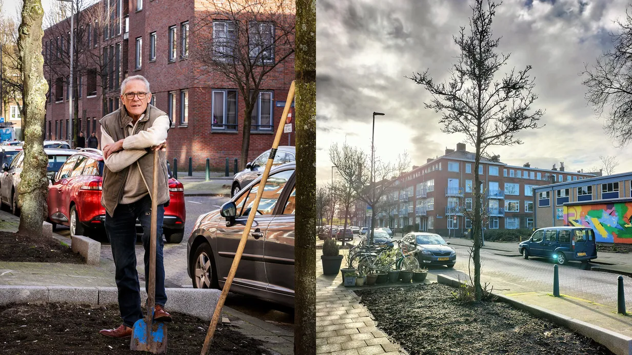De boomspiegels: van zandbak tot groen en vol leven