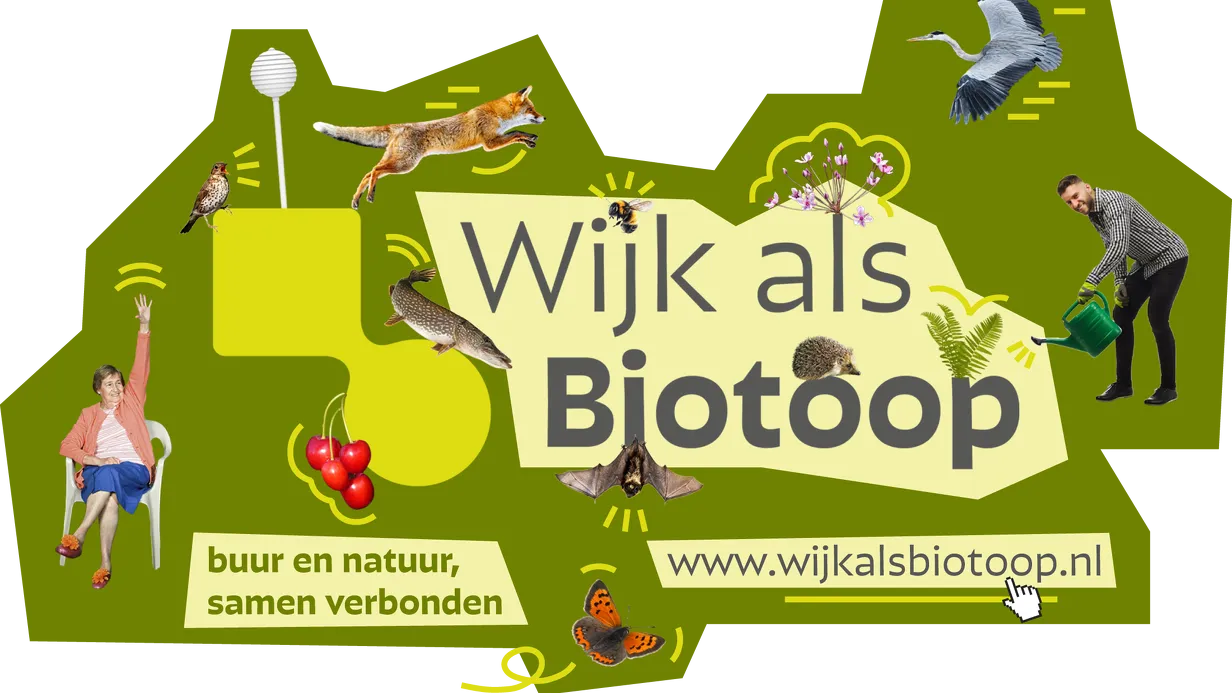 Meer biodiversiteit in de achtertuin