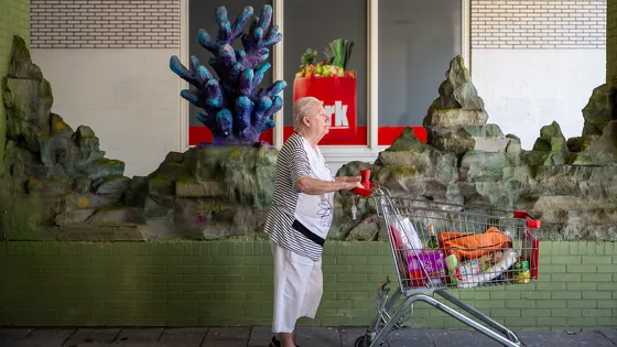 Zeemeermin tegen overlast