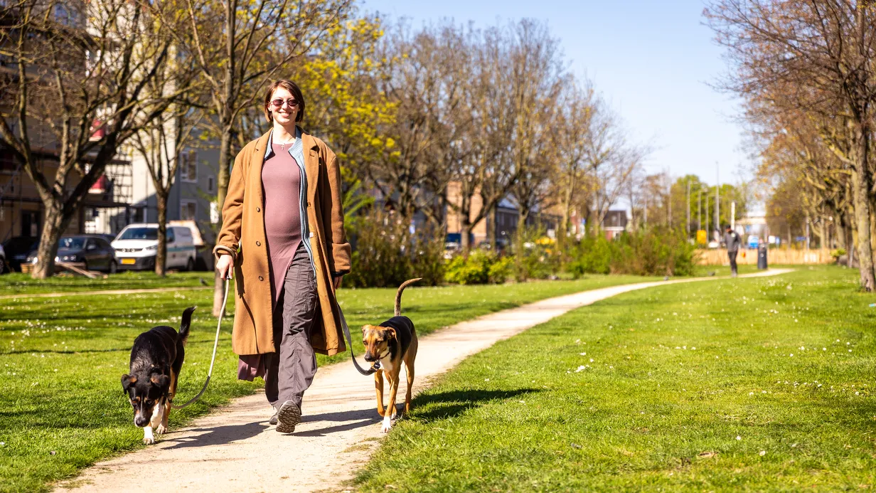 Honden in Mathenesse willen een schonere wijk 