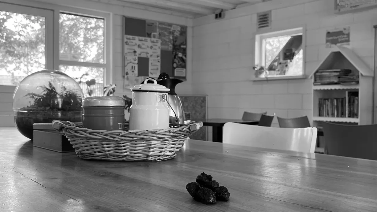 Drollen & Daders (speurtocht)